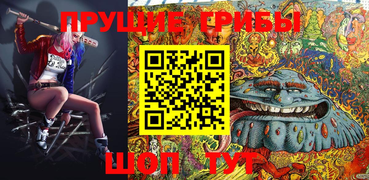 Орехово-Зуево  Псилоцибиновые грибы MAGIC MUSHROOMS  Вход с VPN 